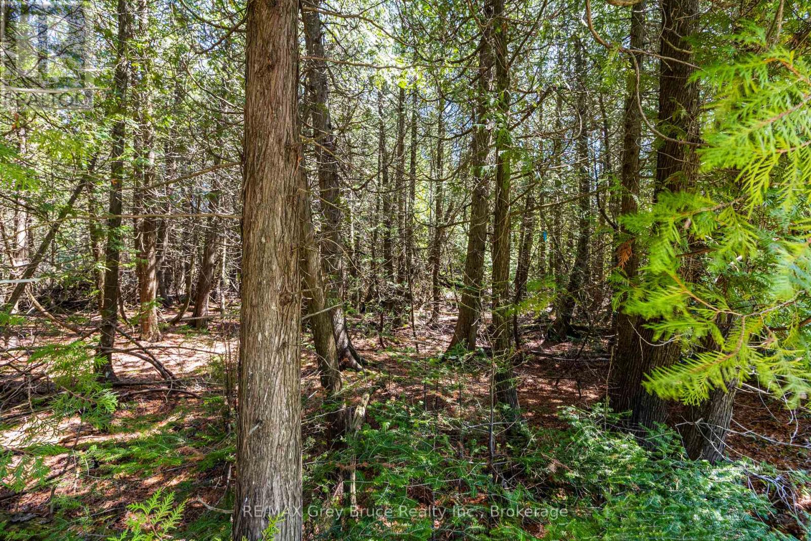 228 Corey Crescent, Northern Bruce Peninsula, Ontario  N0H 2R0 - Photo 25 - X13705108
