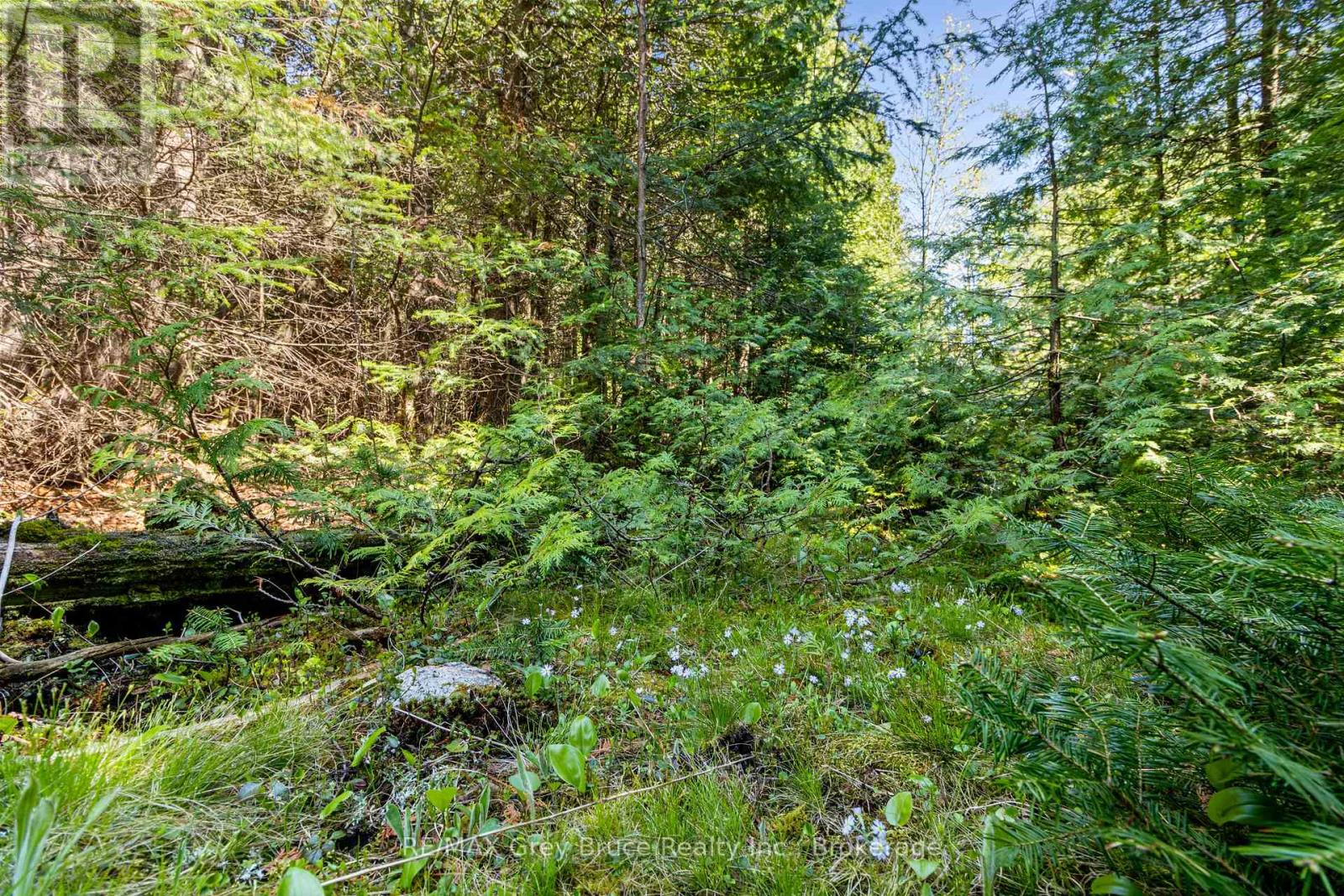 228 Corey Crescent, Northern Bruce Peninsula, Ontario  N0H 2R0 - Photo 28 - X13705108