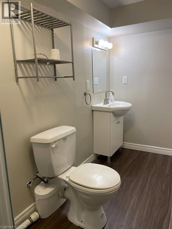 62 Euclid Avenue, Waterloo, Ontario  N2L 1Z3 - Photo 9 - 40856852