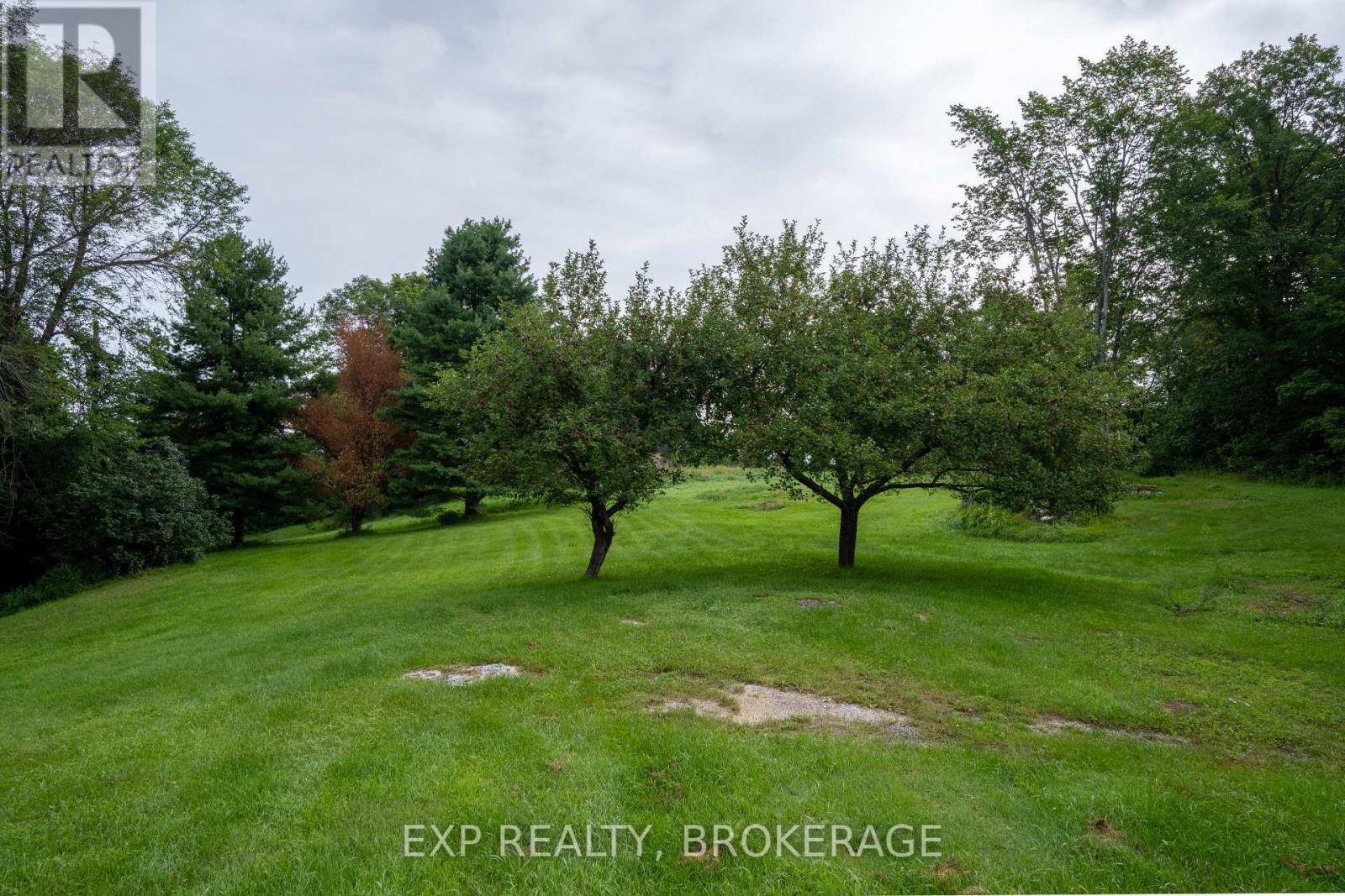 279 Munro Road, Tay Valley, Ontario  K0H 2B0 - Photo 5 - X13705260
