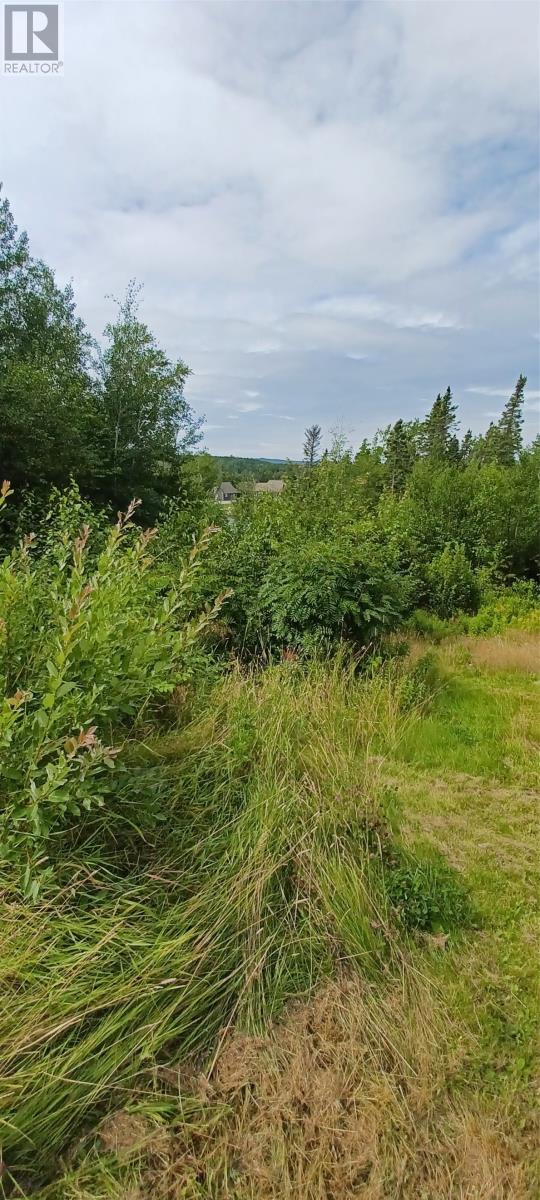 28 Riverside Road W, Glovertown, Newfoundland & Labrador  A0G 2M0 - Photo 5 - 1302221