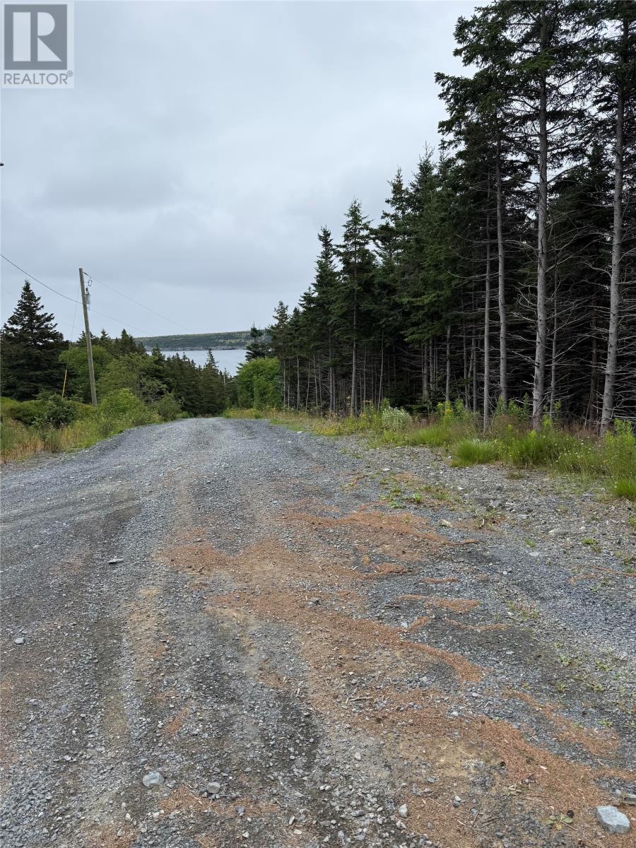 67 - 85 Kildare Road, Harbour Grace, Newfoundland & Labrador  A0A 3M0 - Photo 4 - 1302220