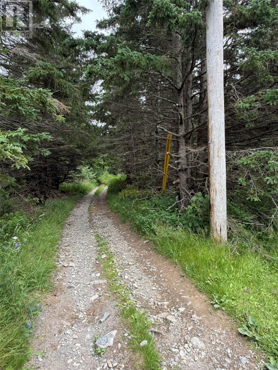 67 - 85 Kildare Road, Harbour Grace, Newfoundland & Labrador  A0A 3M0 - Photo 6 - 1302220