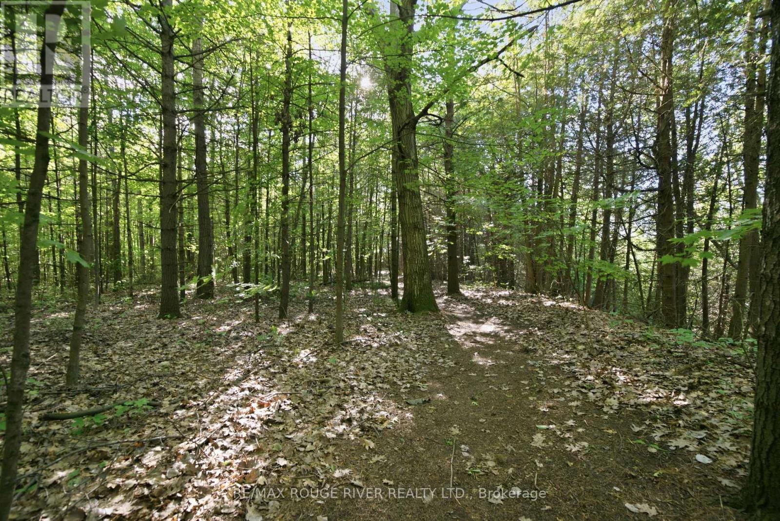 9866 Ellis Road, Hamilton Township, Ontario  K0K 1C0 - Photo 43 - X13705340