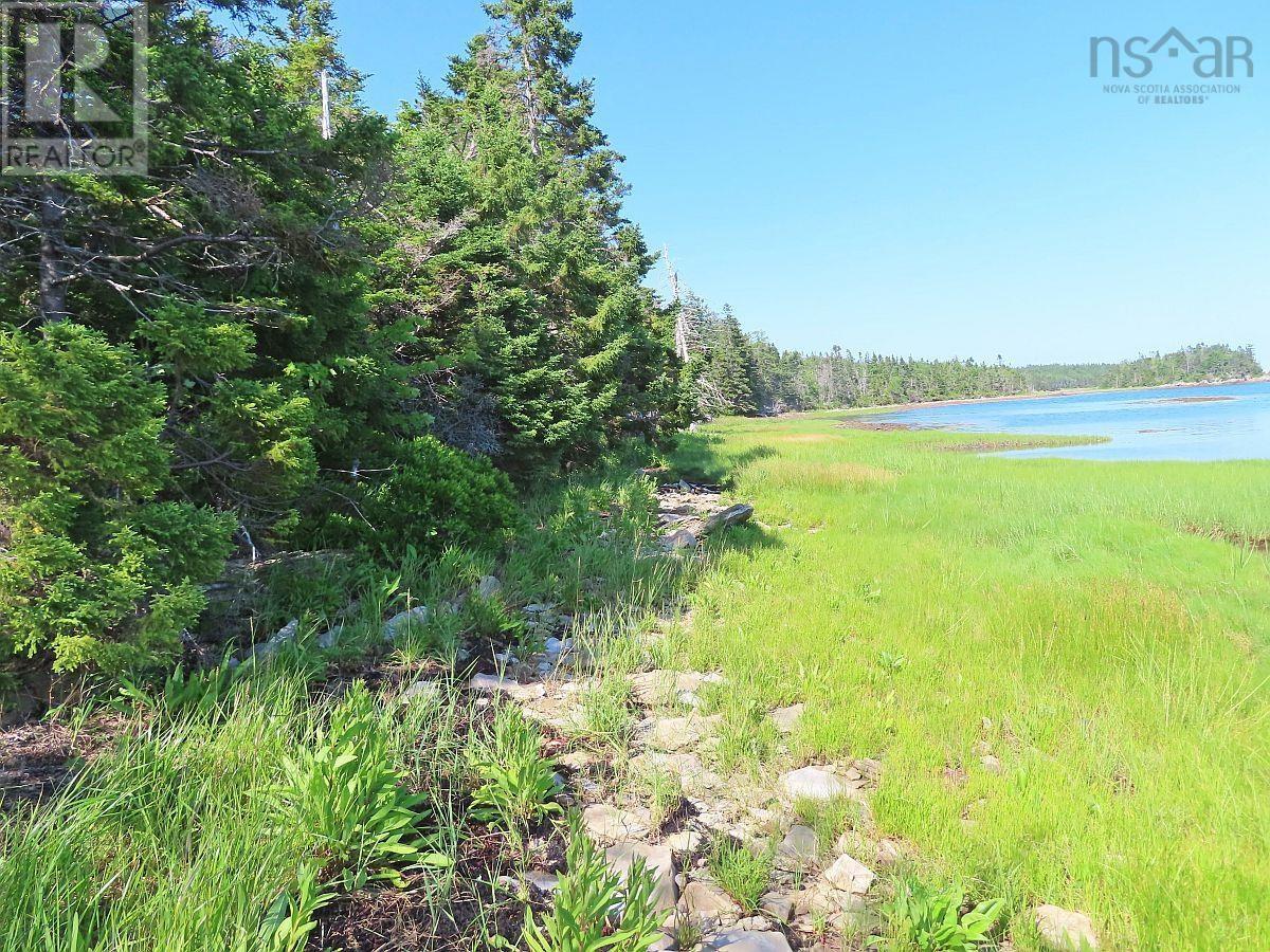 76 Acres Perry Lane, Lennox Passage, Nova Scotia B0E 1K0 - Photo 16 - 202609626