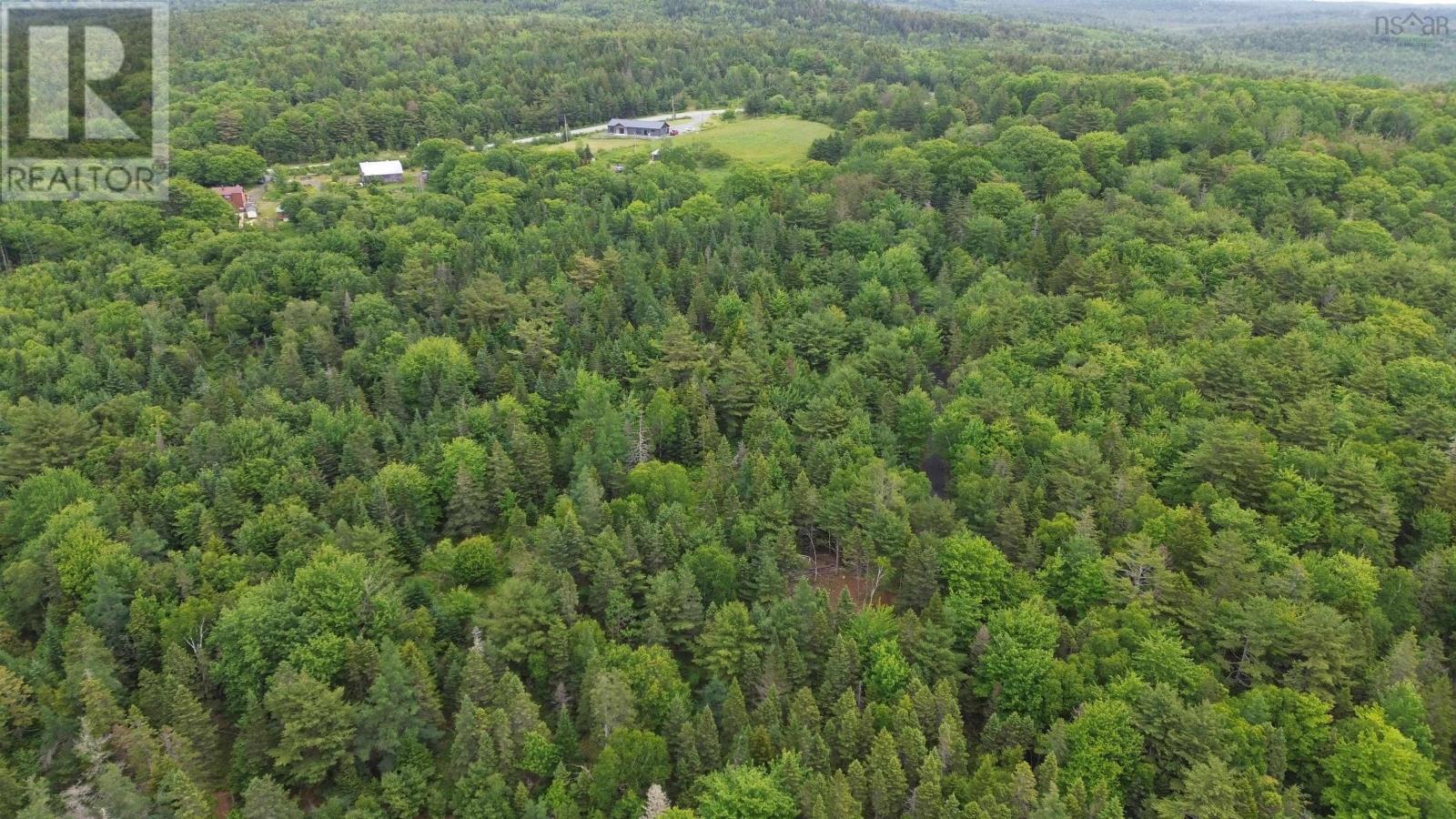 Lot 7 Huey Lake Road, Mount Pleasant, Nova Scotia  B0R 1G0 - Photo 9 - 202615675