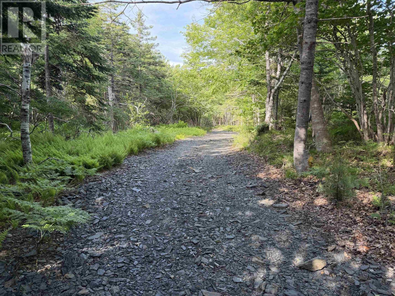 Lot 7 Huey Lake Road, Mount Pleasant, Nova Scotia  B0R 1G0 - Photo 6 - 202615675