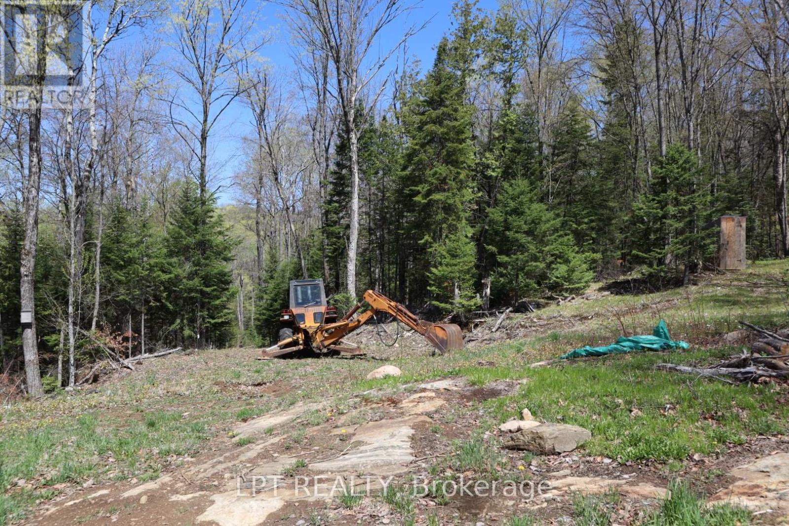 1827 Hybla Road, Hastings Highlands, Ontario K0L 1C0 - Photo 17 - X13705358