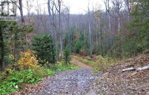 1827 Hybla Road, Hastings Highlands, Ontario K0L 1C0 - Photo 3 - X13705358