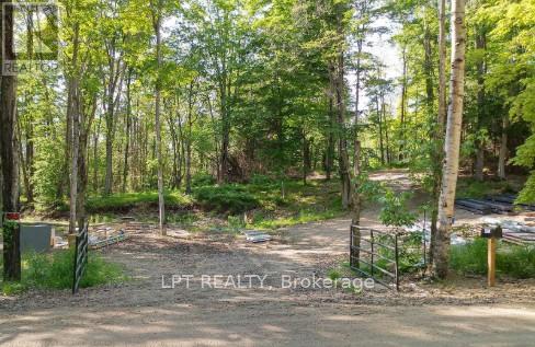 1827 Hybla Road, Hastings Highlands, Ontario K0L 1C0 - Photo 4 - X13705358
