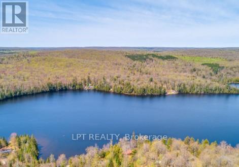 1827 Hybla Road, Hastings Highlands, Ontario K0L 1C0 - Photo 5 - X13705358