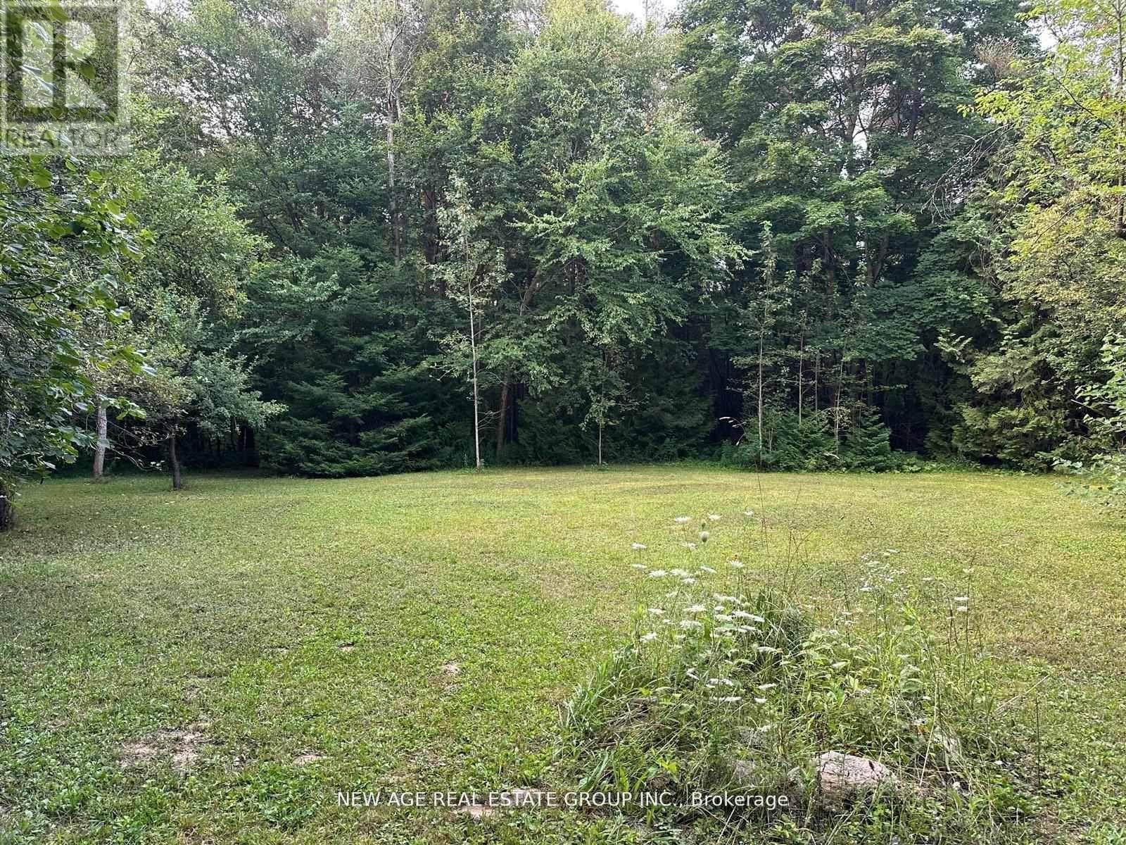 9031 Sideroad 17, Erin, Ontario N0B 1Z0 - Photo 16 - X13705380