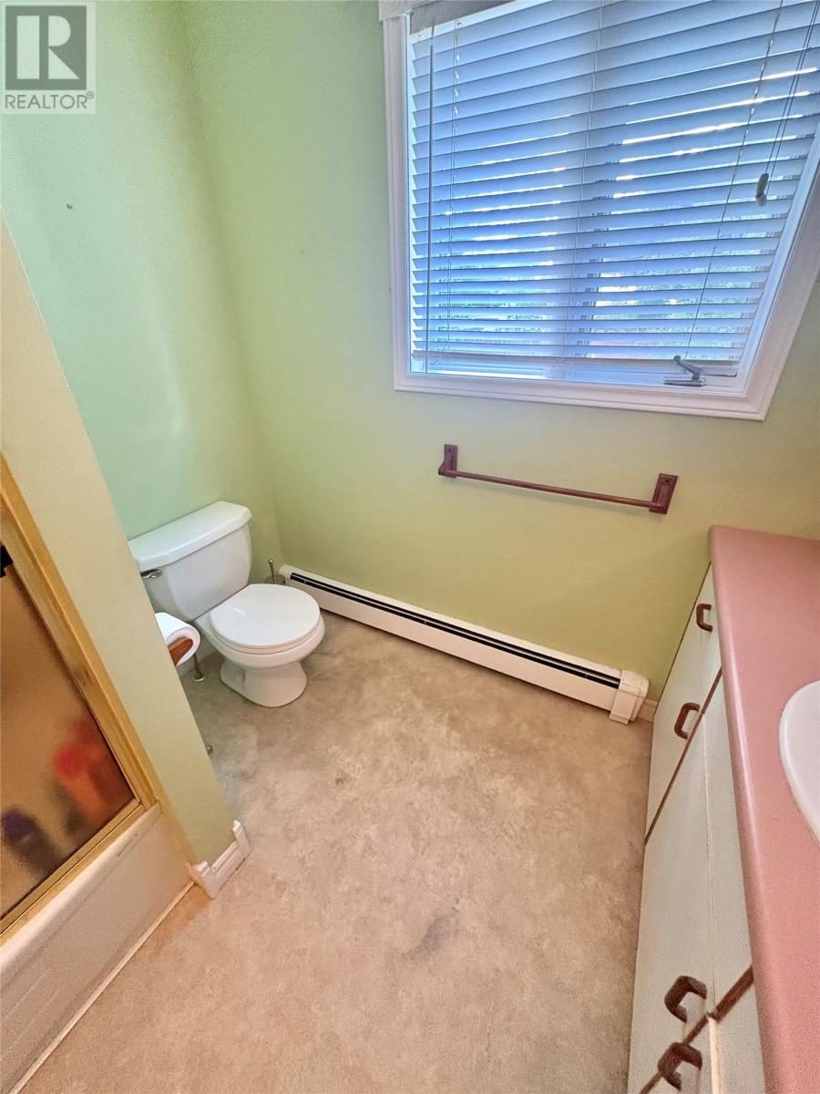 13 Shallow Street, Grand Falls Windsor, Newfoundland & Labrador  A2A 2X1 - Photo 31 - 1302222