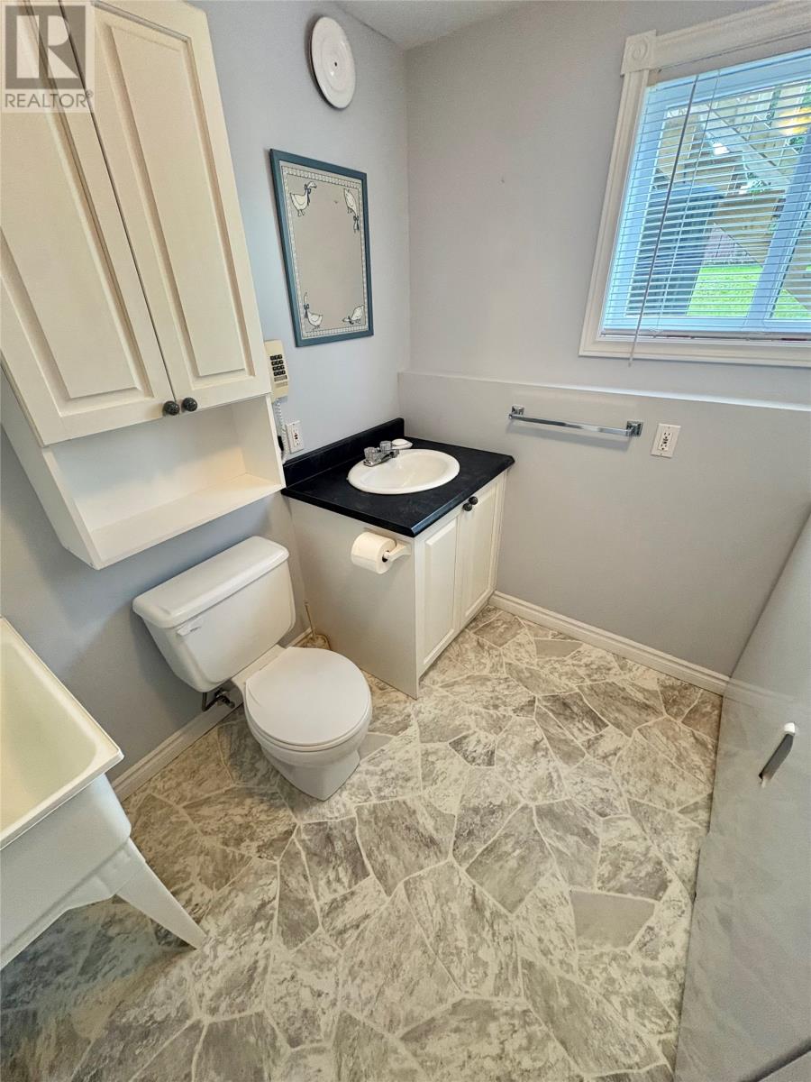 13 Shallow Street, Grand Falls Windsor, Newfoundland & Labrador  A2A 2X1 - Photo 40 - 1302222