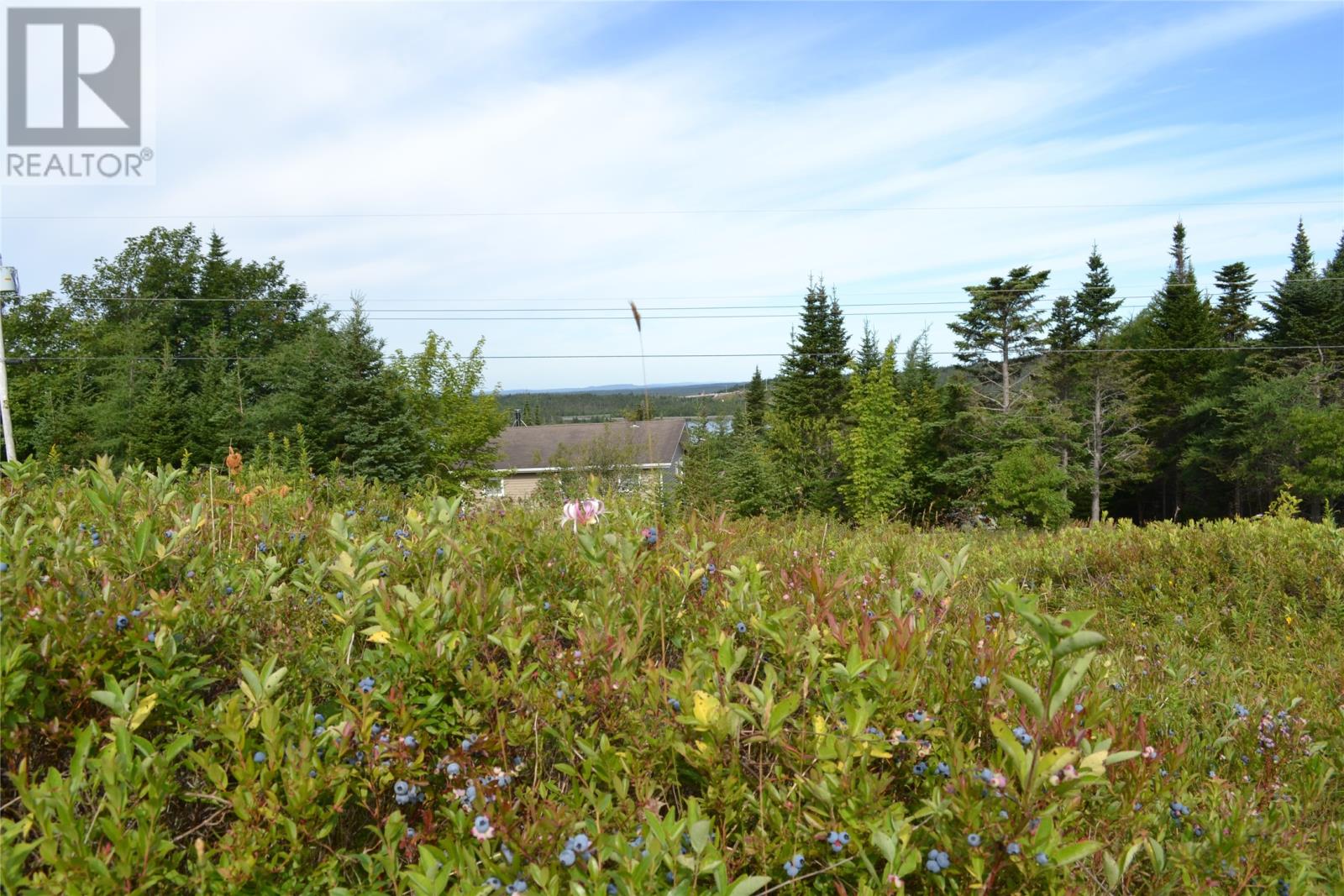 41 Juniper Crescent, Brigus Junction, Newfoundland & Labrador  A0B 0A7 - Photo 3 - 1302233