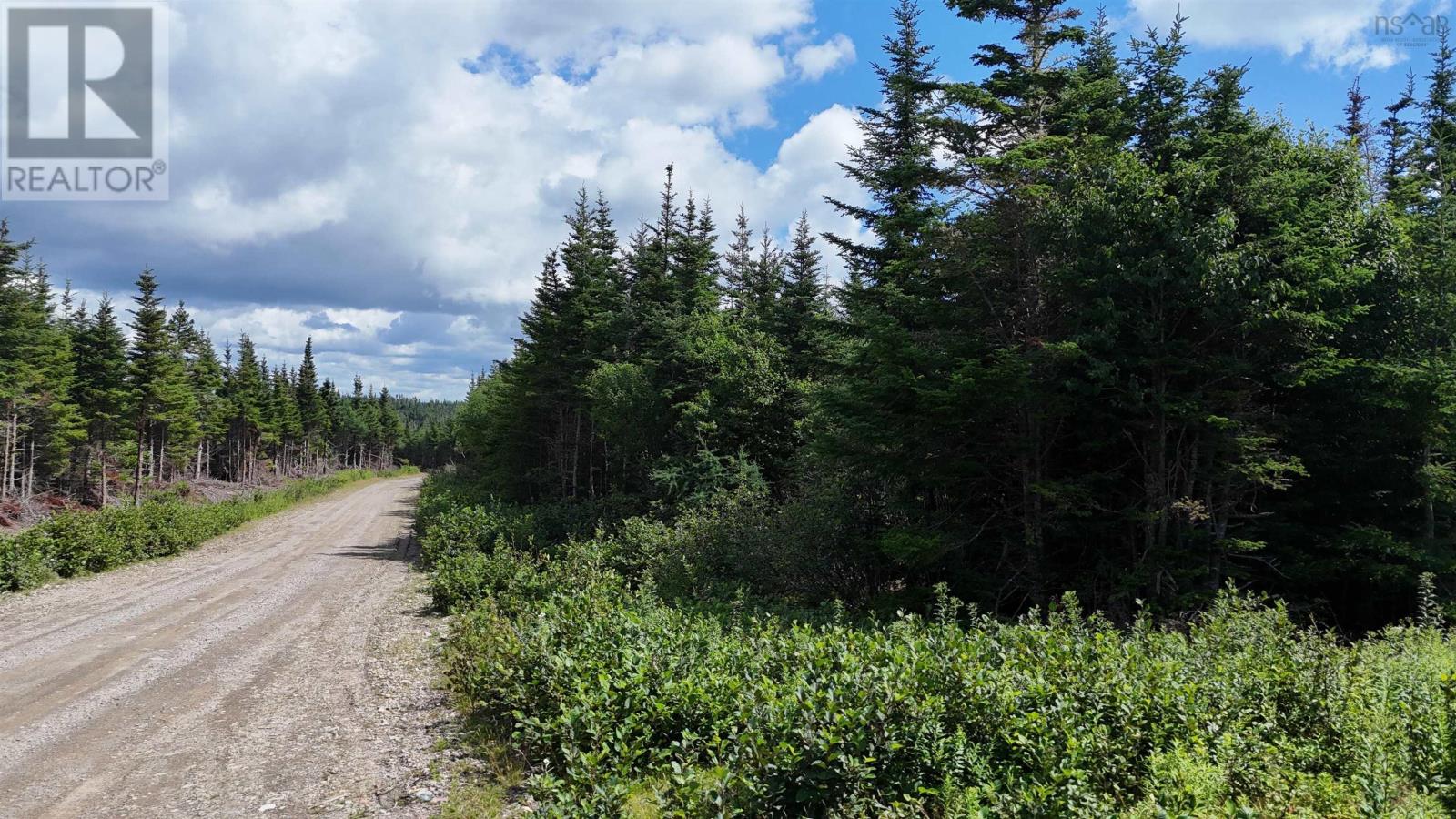 Lot 6 East Side Grand River Road, Grand River, Nova Scotia B0E 1M0 - Photo 2 - 202618174