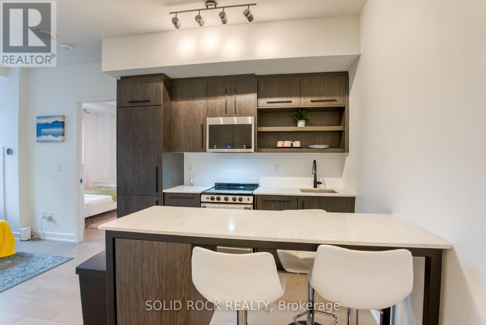 306 - 560 Rideau Street, Ottawa, Ontario  K1N 5Z8 - Photo 7 - X13705522
