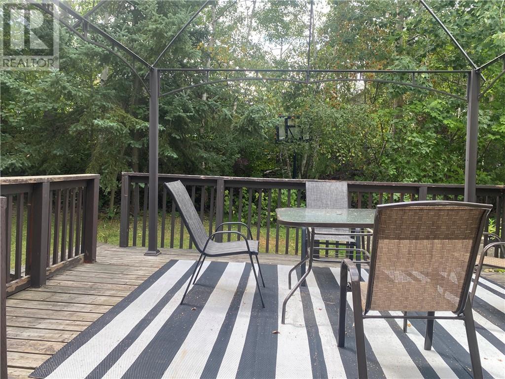 657 Jupiter Court Unit# Lower Unit, Sudbury, Ontario P3E 5N1 - Photo 25 - 2129973
