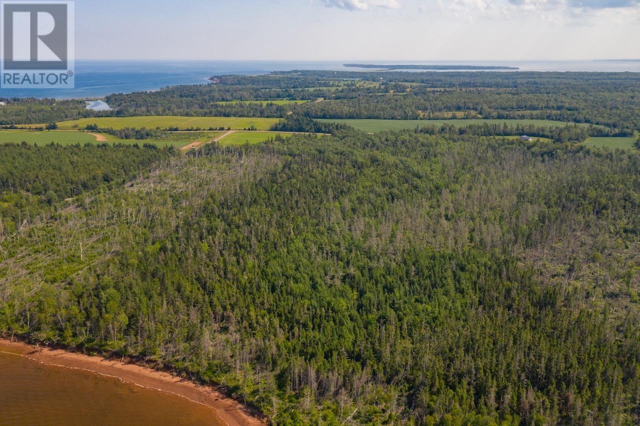 Acreage Primrose Road, Launching, Prince Edward Island  C0A 1L0 - Photo 10 - 202621296