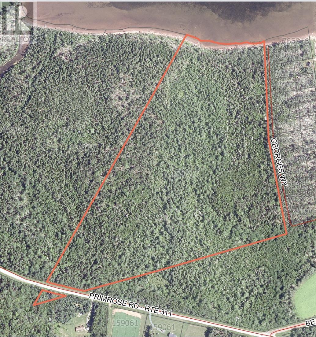Acreage Primrose Road, Launching, Prince Edward Island  C0A 1L0 - Photo 2 - 202621296