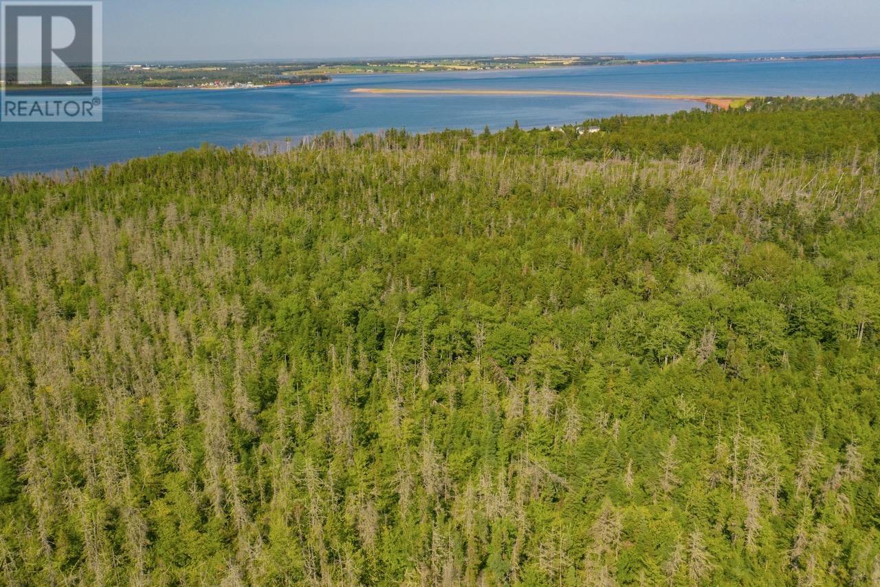 Acreage Primrose Road, Launching, Prince Edward Island  C0A 1L0 - Photo 23 - 202621296