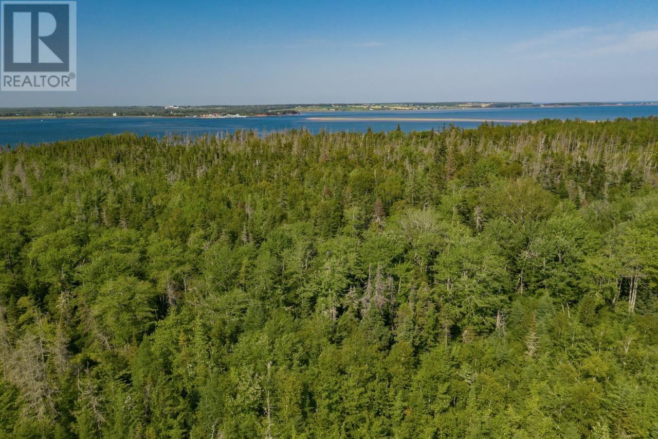 Acreage Primrose Road, Launching, Prince Edward Island  C0A 1L0 - Photo 24 - 202621296