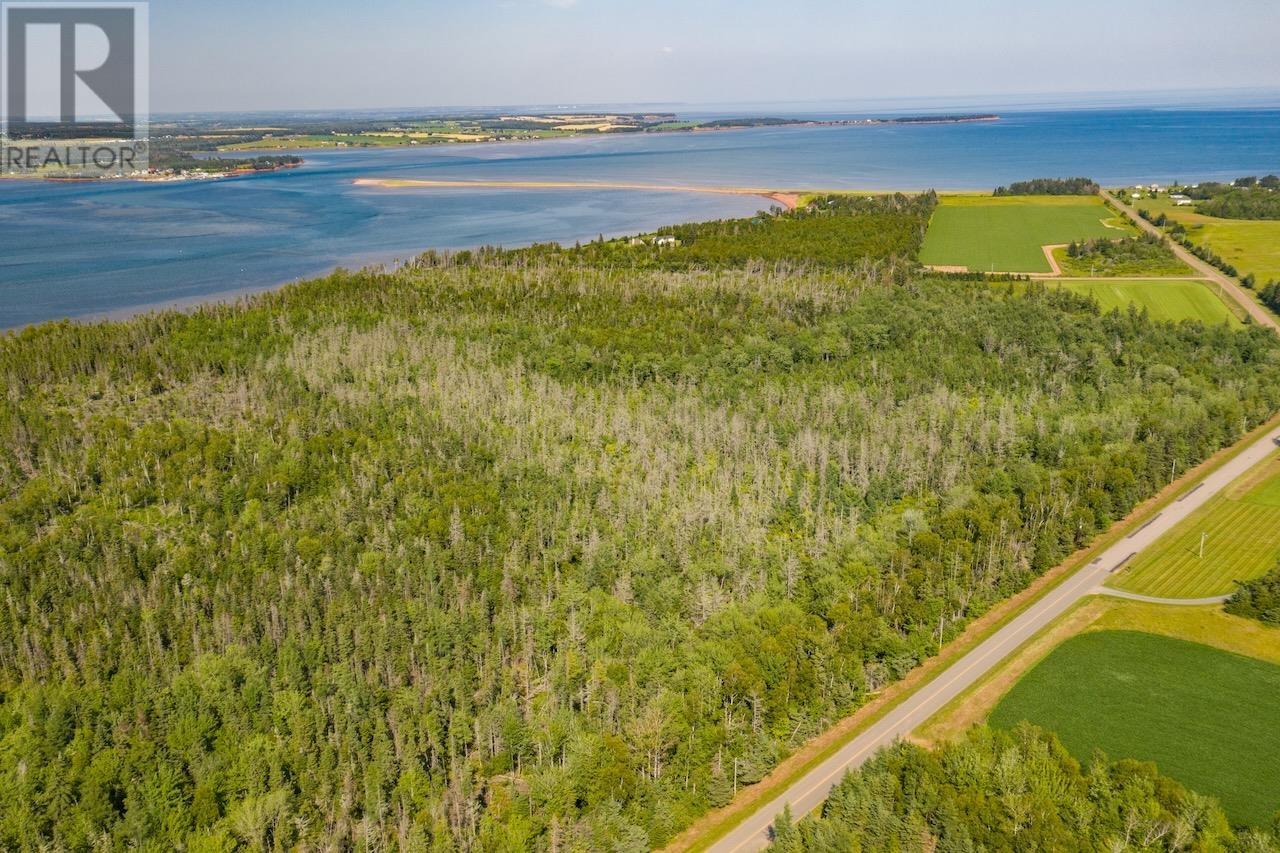 Acreage Primrose Road, Launching, Prince Edward Island  C0A 1L0 - Photo 4 - 202621296