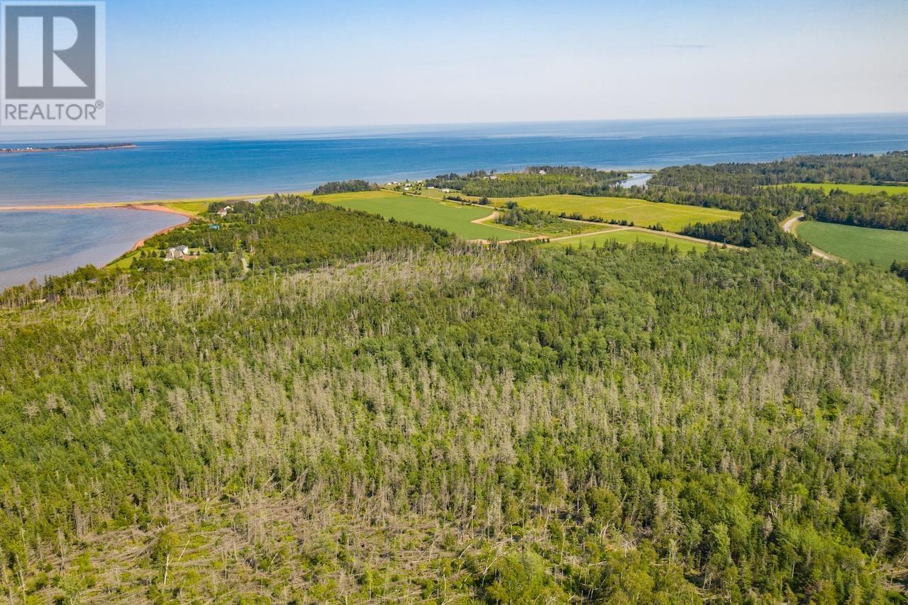 Acreage Primrose Road, Launching, Prince Edward Island  C0A 1L0 - Photo 6 - 202621296