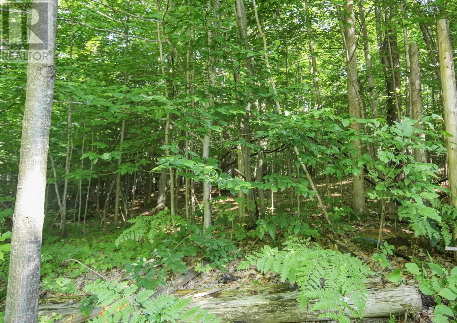 Lot 6 Hilton Rd, Jocelyn Township, Ontario  P0R 1G0 - Photo 30 - SM262280