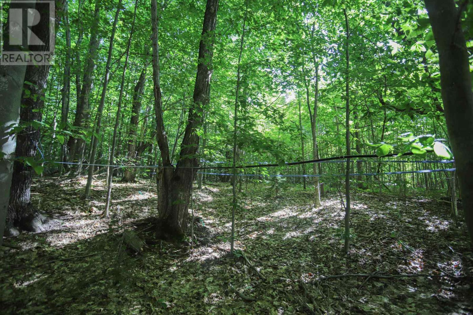 Lot 6 Hilton Rd, Jocelyn Township, Ontario  P0R 1G0 - Photo 31 - SM262280
