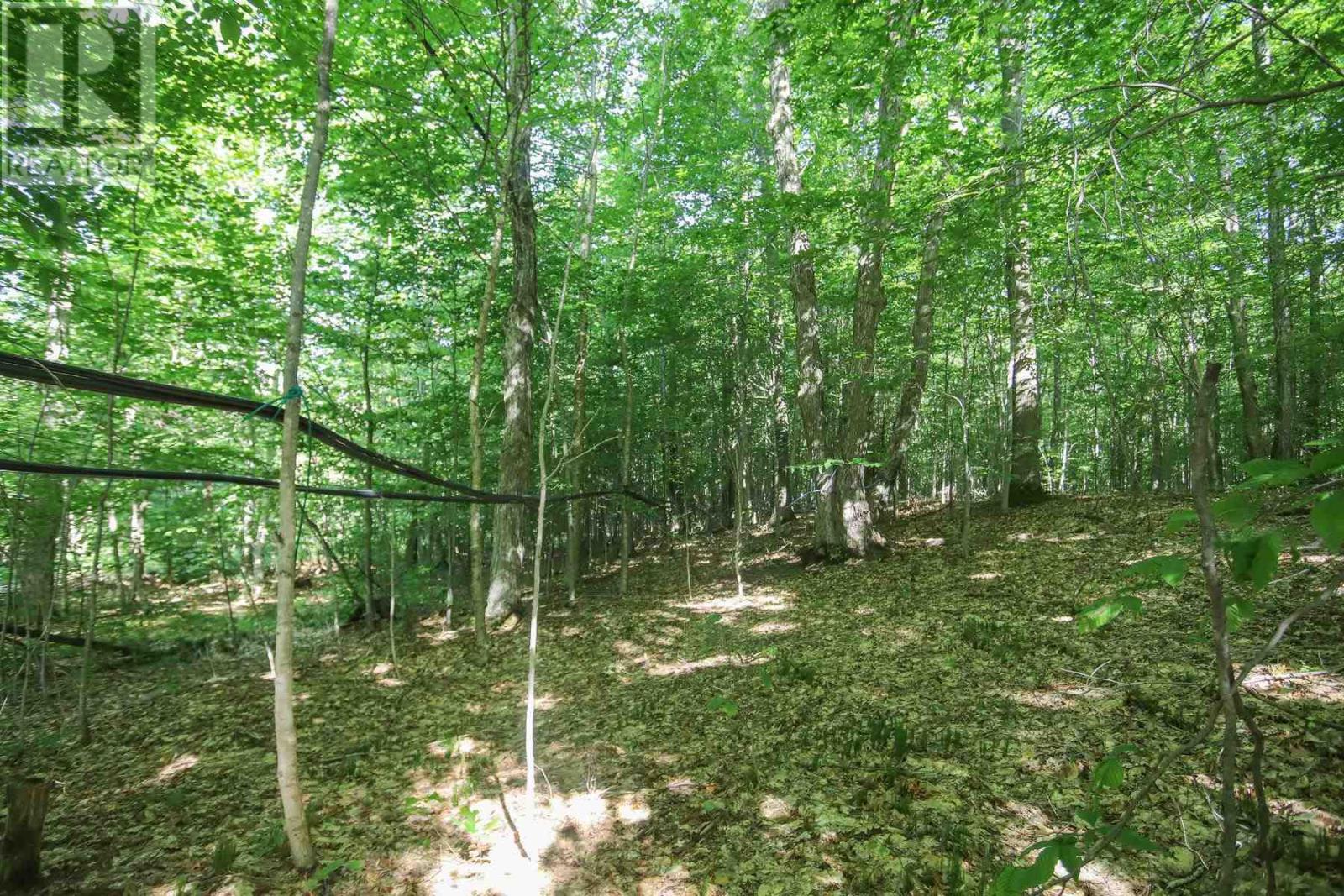 Lot 6 Hilton Rd, Jocelyn Township, Ontario  P0R 1G0 - Photo 32 - SM262280