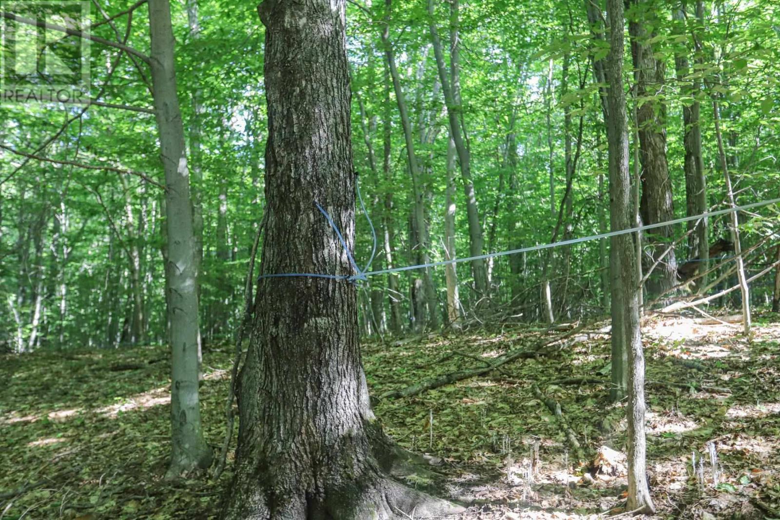 Lot 6 Hilton Rd, Jocelyn Township, Ontario  P0R 1G0 - Photo 33 - SM262280