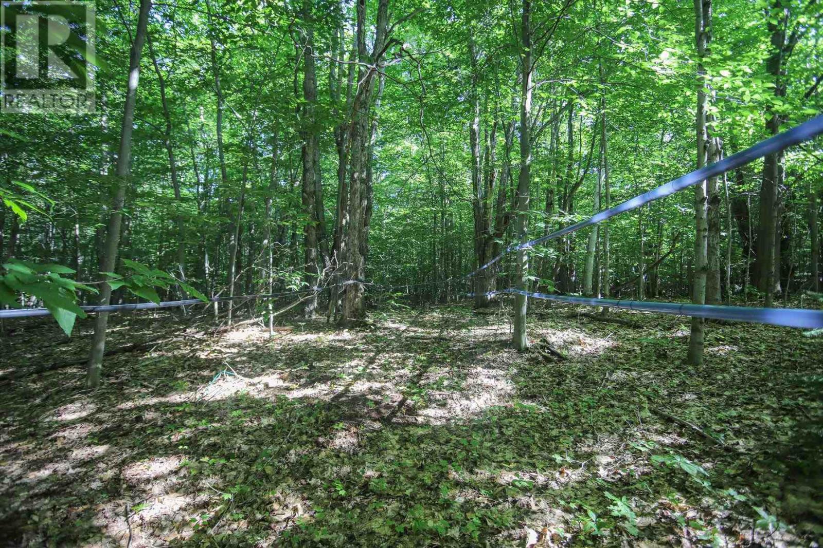 Lot 6 Hilton Rd, Jocelyn Township, Ontario  P0R 1G0 - Photo 34 - SM262280