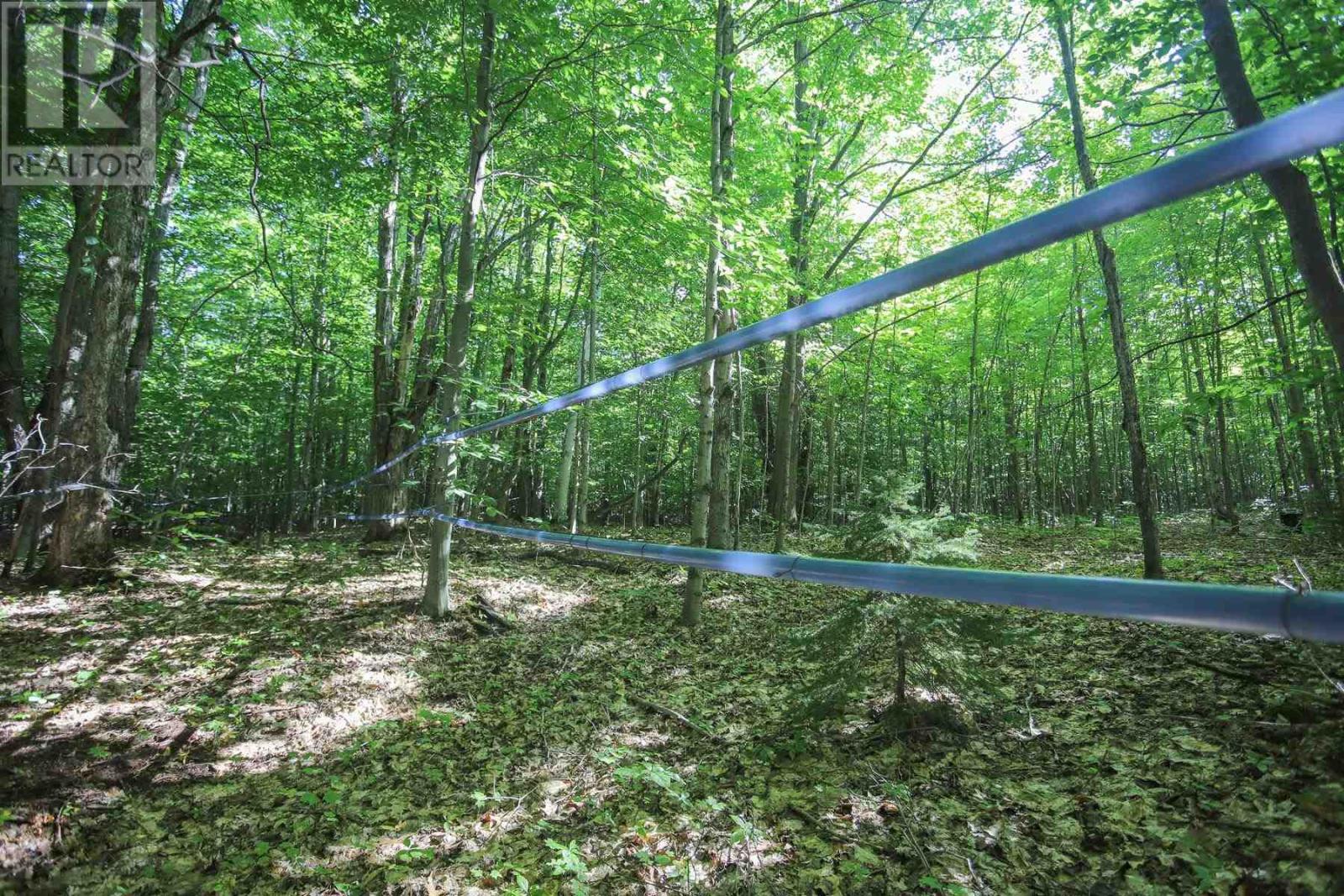 Lot 6 Hilton Rd, Jocelyn Township, Ontario  P0R 1G0 - Photo 35 - SM262280