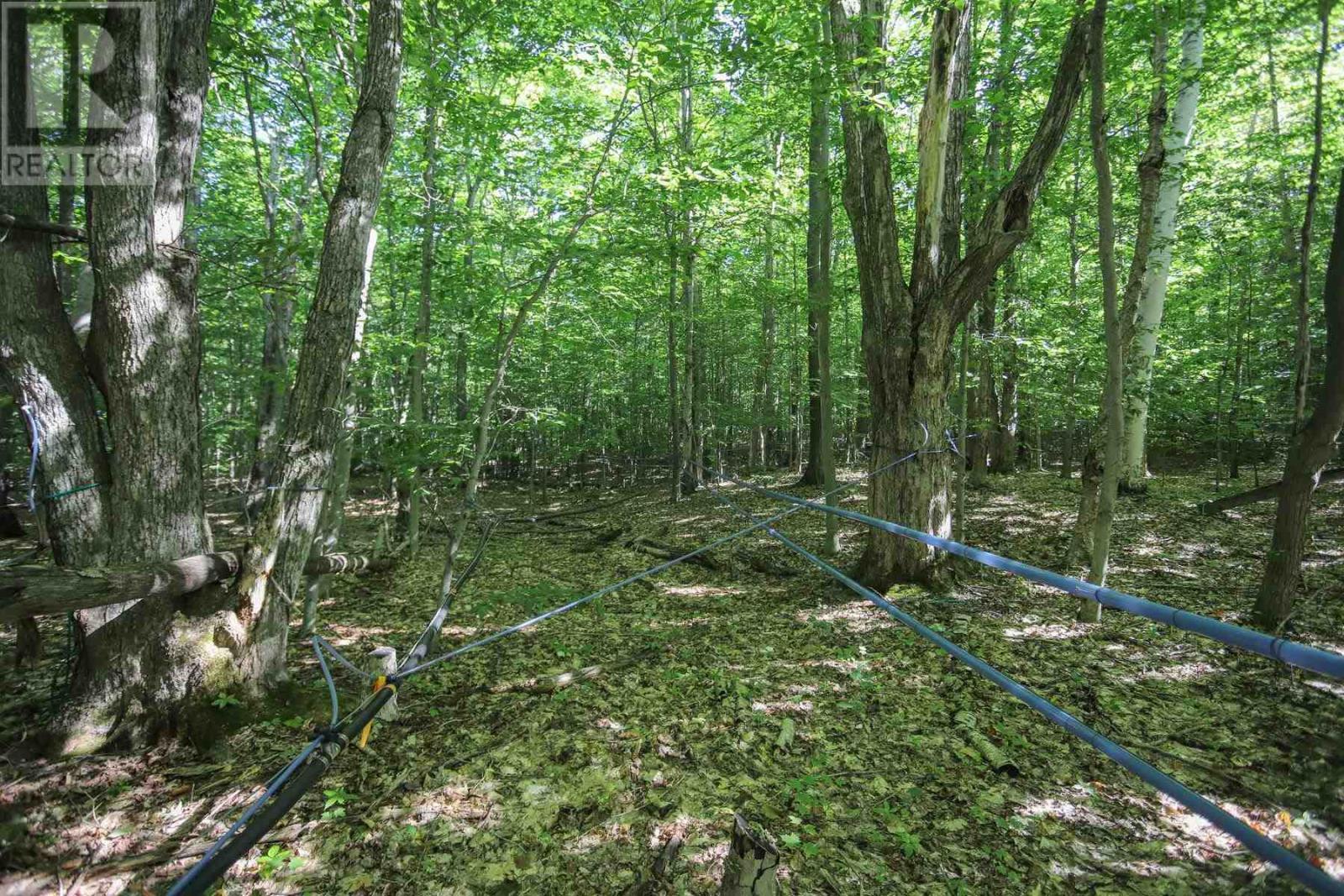 Lot 6 Hilton Rd, Jocelyn Township, Ontario  P0R 1G0 - Photo 36 - SM262280