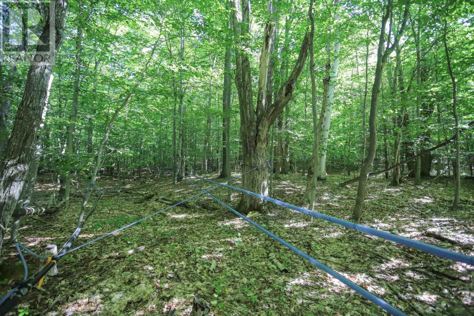 Lot 6 Hilton Rd, Jocelyn Township, Ontario  P0R 1G0 - Photo 37 - SM262280