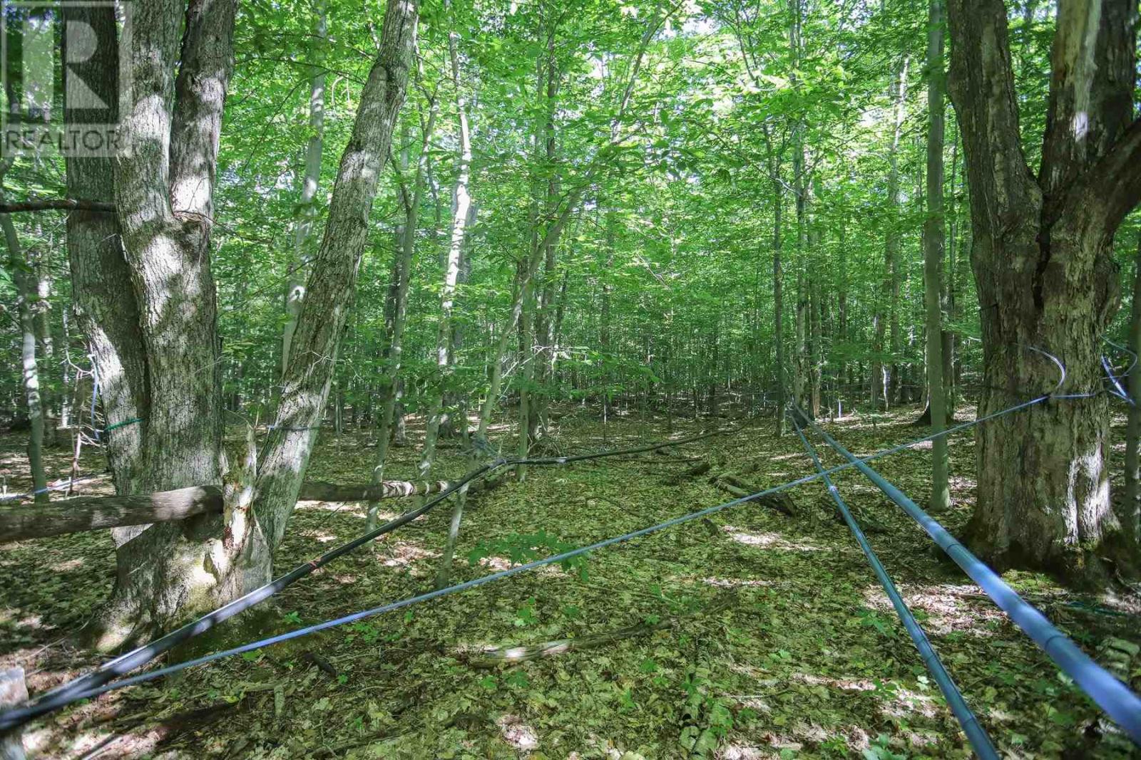 Lot 6 Hilton Rd, Jocelyn Township, Ontario  P0R 1G0 - Photo 38 - SM262280