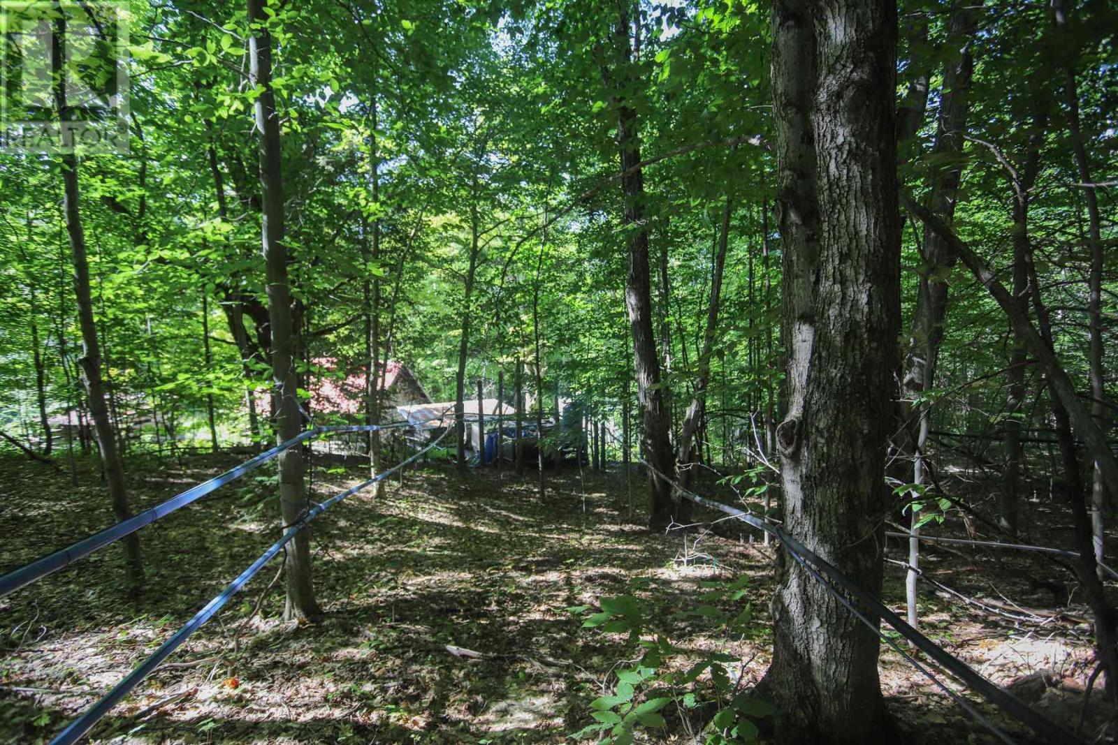 Lot 6 Hilton Rd, Jocelyn Township, Ontario  P0R 1G0 - Photo 39 - SM262280