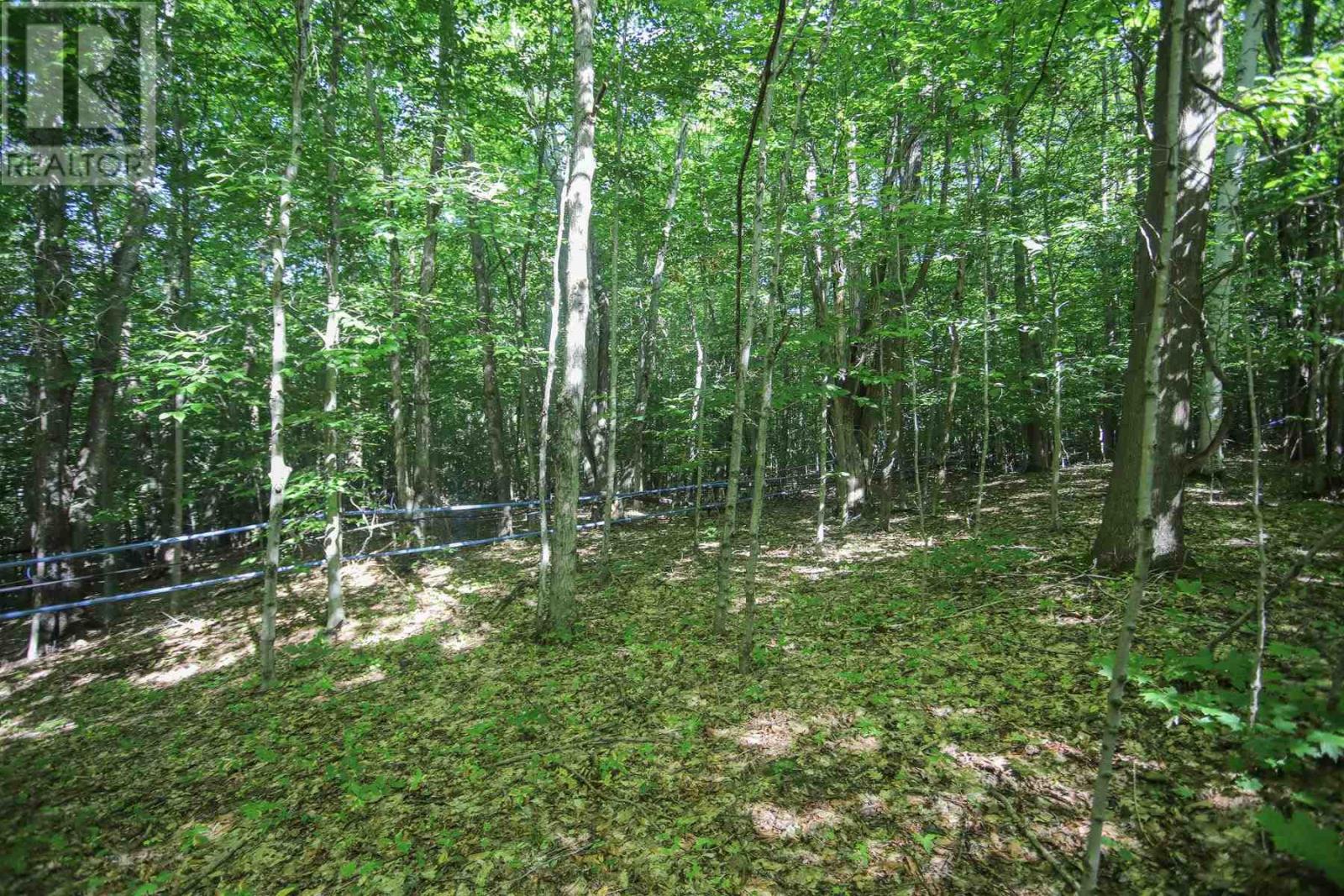 Lot 6 Hilton Rd, Jocelyn Township, Ontario  P0R 1G0 - Photo 43 - SM262280
