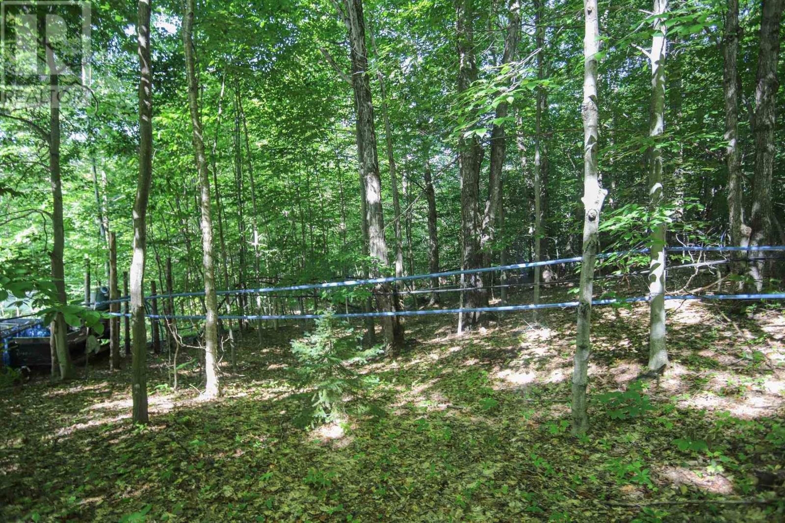 Lot 6 Hilton Rd, Jocelyn Township, Ontario  P0R 1G0 - Photo 44 - SM262280