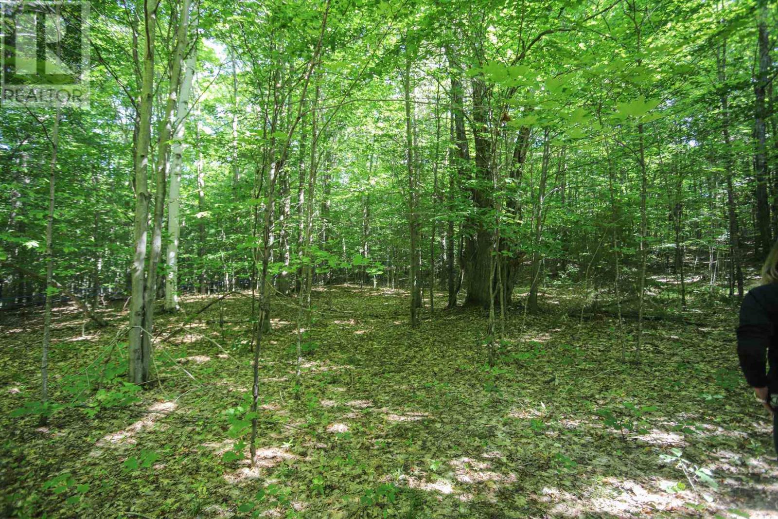 Lot 6 Hilton Rd, Jocelyn Township, Ontario  P0R 1G0 - Photo 45 - SM262280