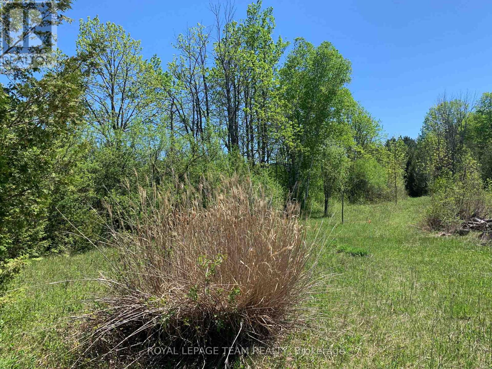 00 Bolton Road, Merrickville-Wolford, Ontario  K0G 1R0 - Photo 10 - X13705840