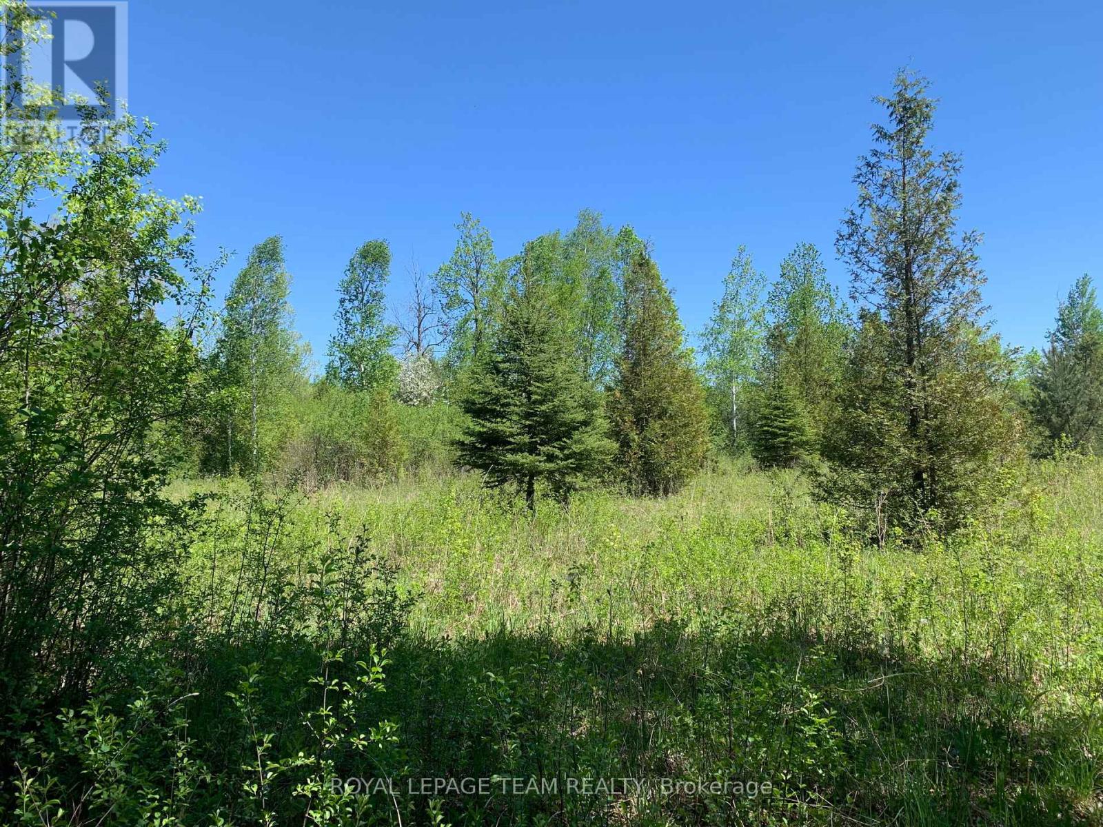 00 Bolton Road, Merrickville-Wolford, Ontario  K0G 1R0 - Photo 4 - X13705840