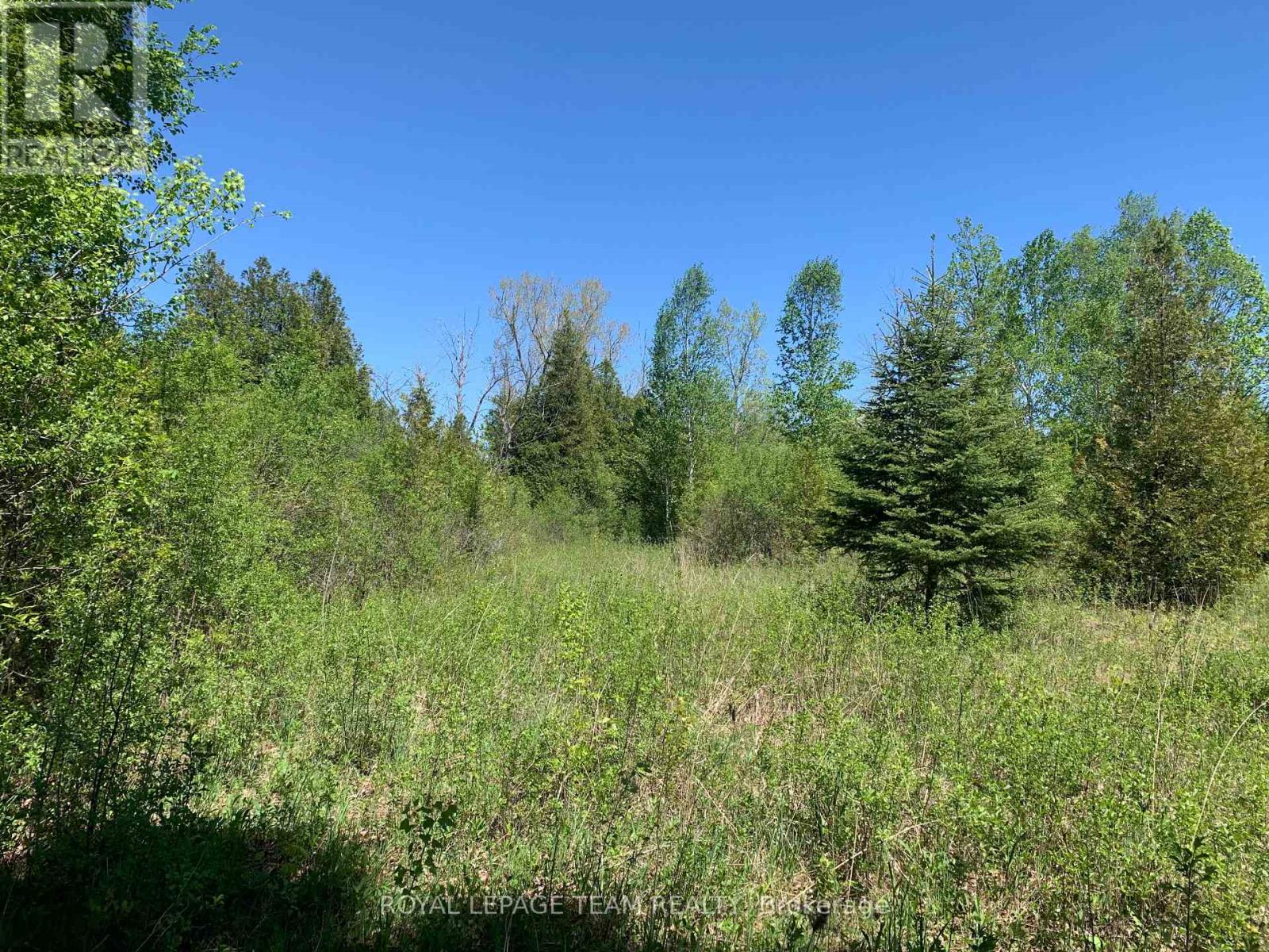 00 Bolton Road, Merrickville-Wolford, Ontario  K0G 1R0 - Photo 5 - X13705840