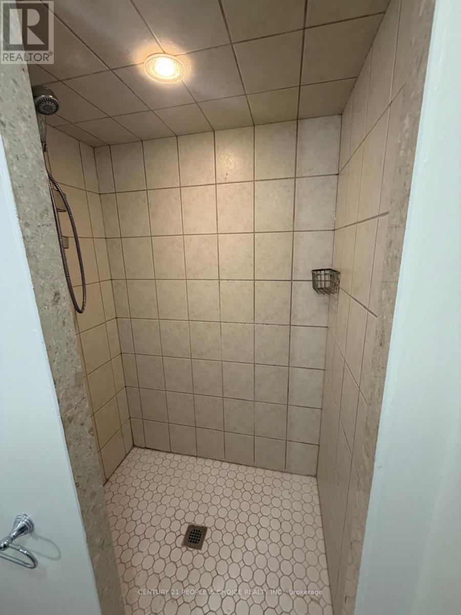 Bsmt - 459 Pettit Trail, Milton, Ontario  L9T 6N9 - Photo 8 - W13641448