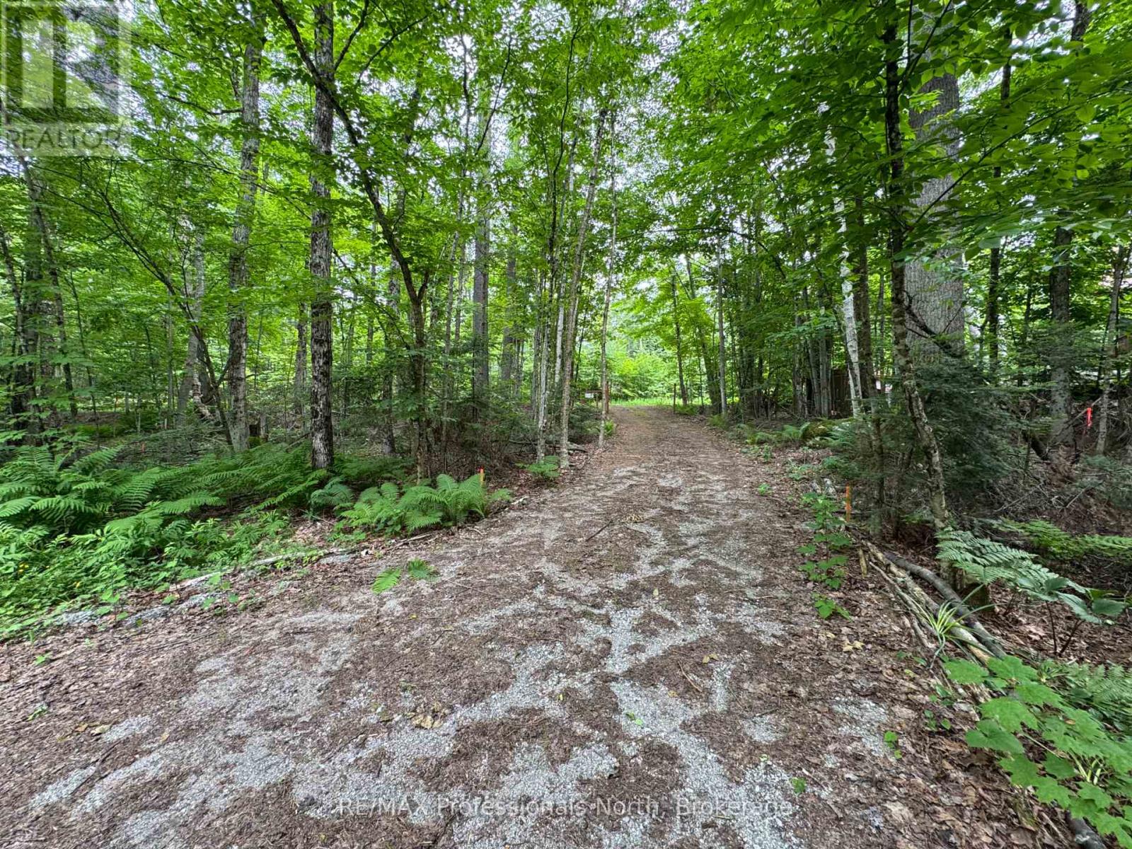 1090 River Haven Road, Bracebridge (Draper), Ontario  P1L 1X1 - Photo 11 - X13705864