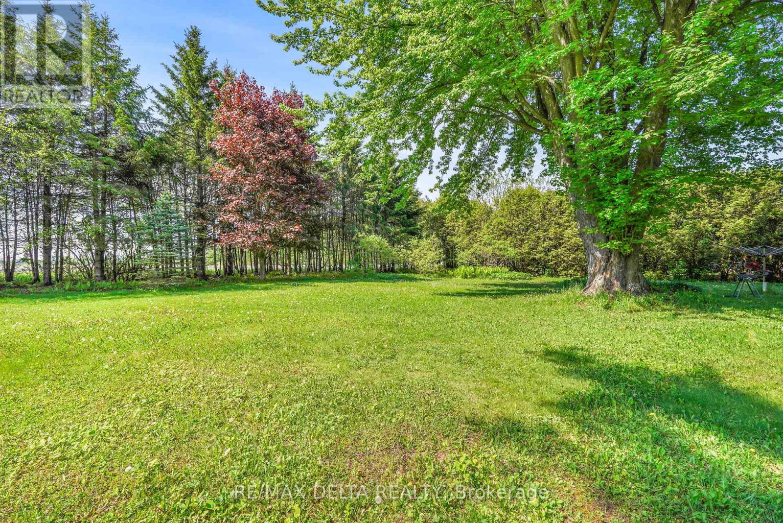 3558 Principale Street, Alfred And Plantagenet, Ontario  K0A 3K0 - Photo 6 - X13705852