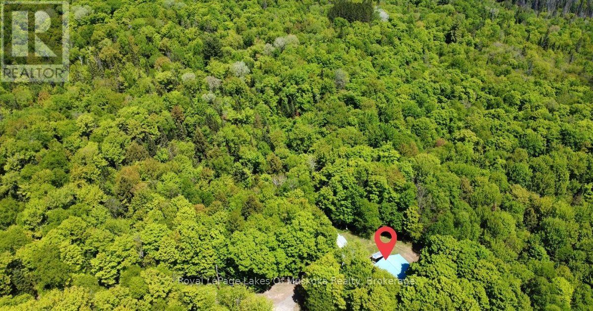 722 South Horn Lk Road, Armour, Ontario  P0A 1C0 - Photo 22 - X13249024