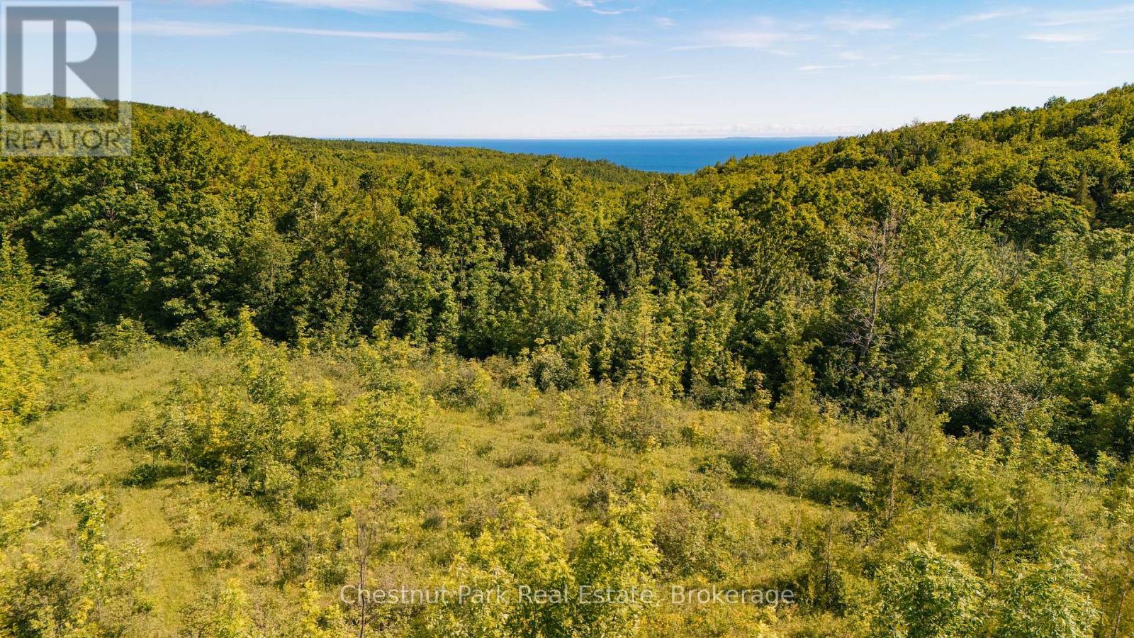 729297 21st Side Road, Blue Mountains, Ontario  N0H 1J0 - Photo 2 - X13456170