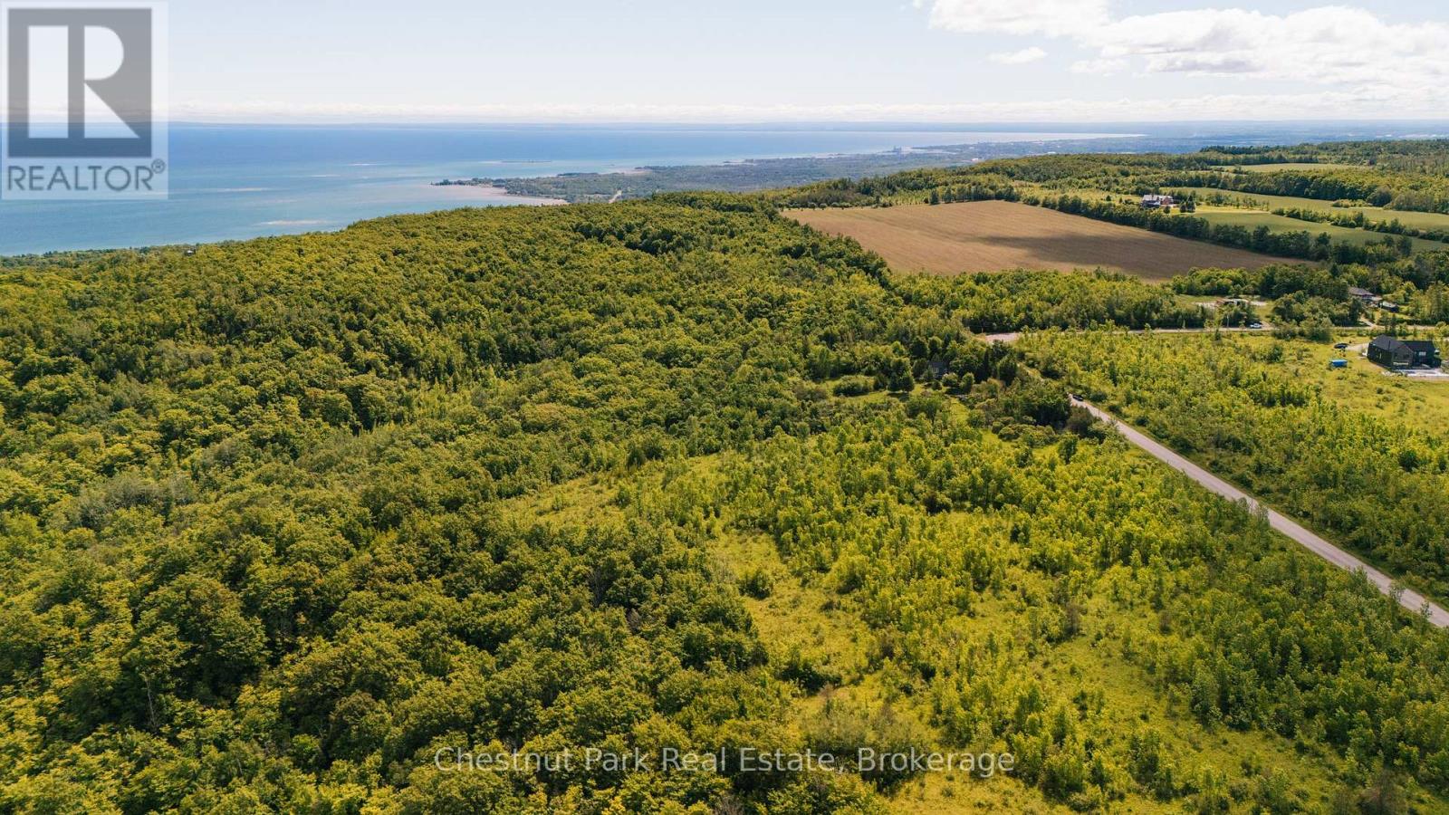 729297 21st Side Road, Blue Mountains, Ontario  N0H 1J0 - Photo 3 - X13456170